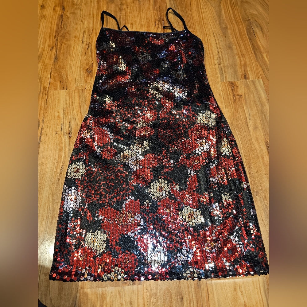 Beautiful Express sequin dress